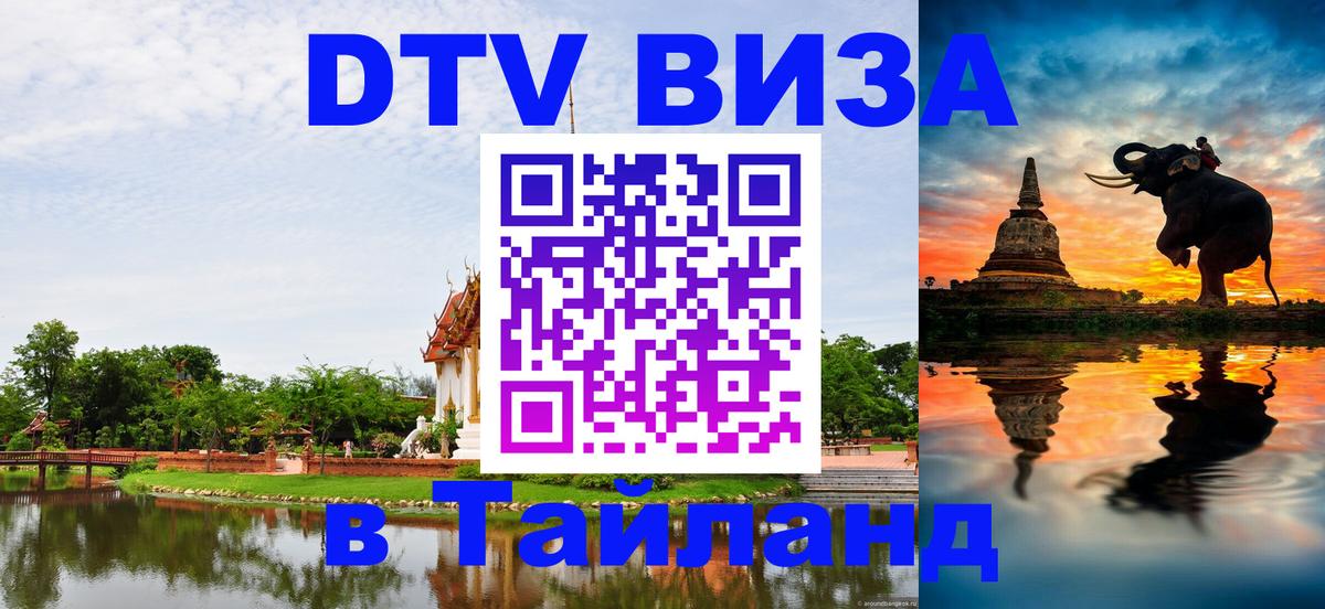 Оформление DTV визы под ключ: стоимость и тарифы, только загранпаспорт - 